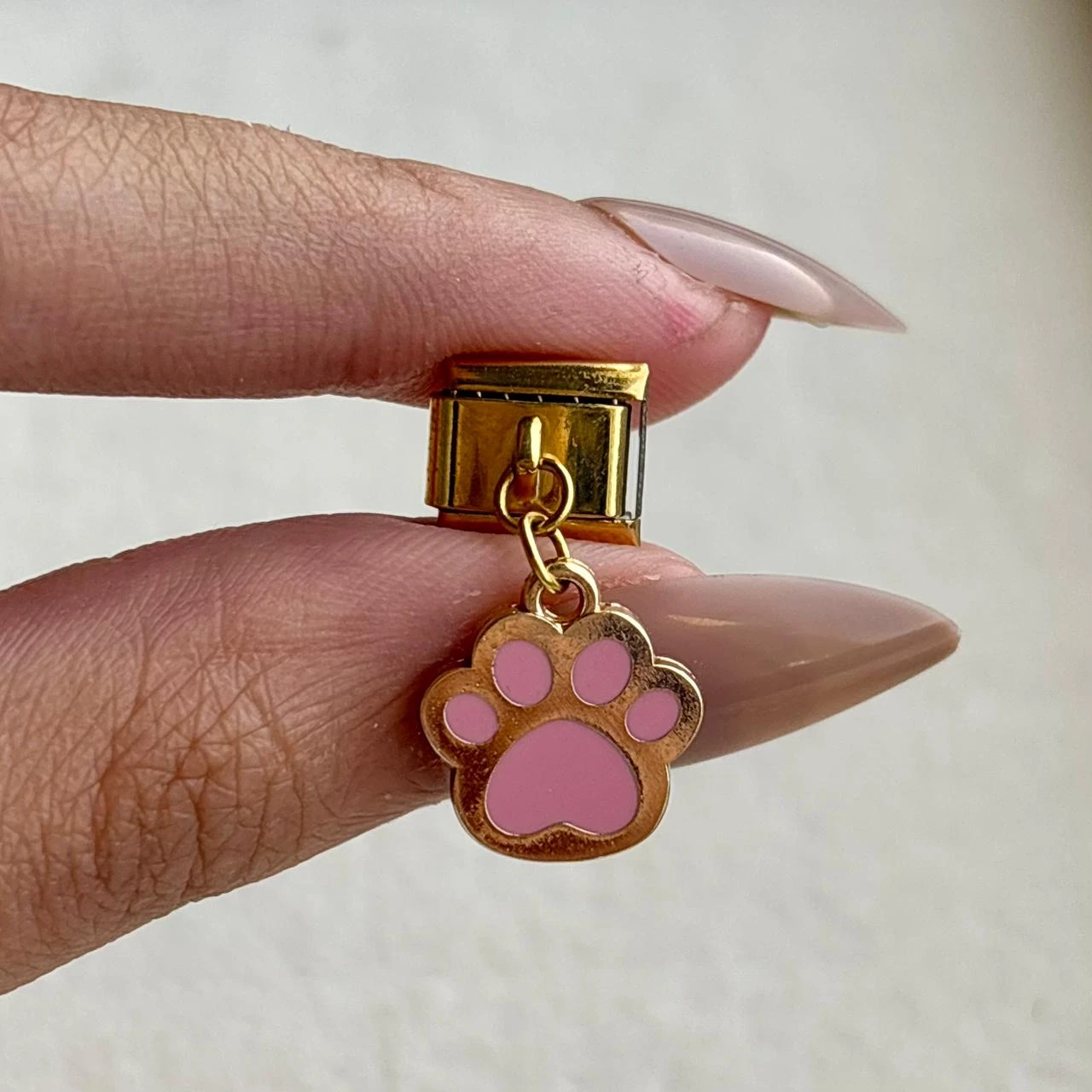 Pink Pet Charm 🐾